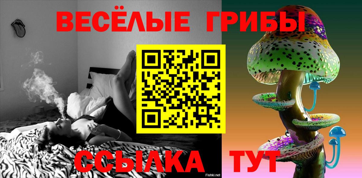 Галлюциногенные грибы GOLDEN TEACHER Орёл